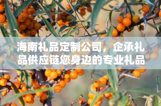 海南礼品定制公司，企承礼品供应链您身边的专业礼品定制公司