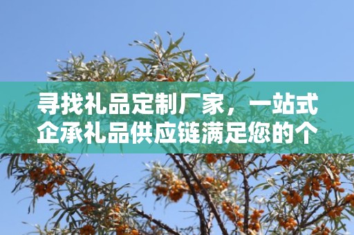 寻找礼品定制厂家，一站式企承礼品供应链满足您的个性化需求